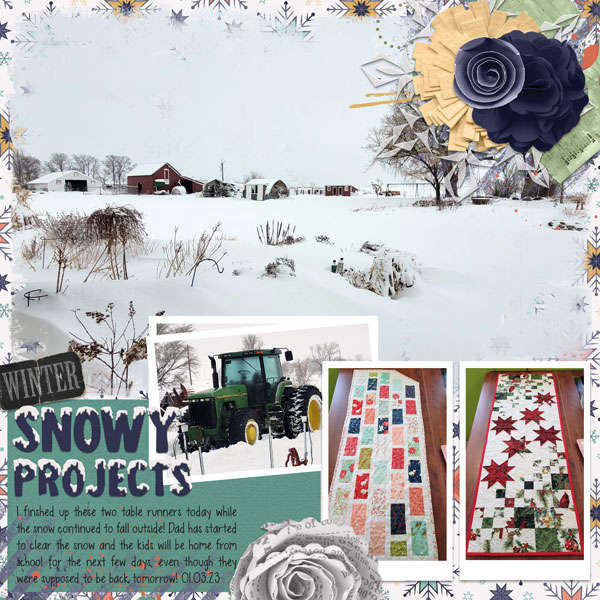 Snowy Projects