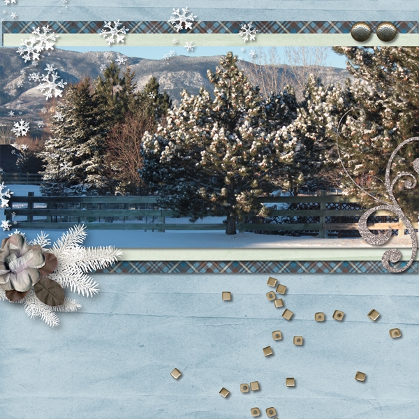 Snowy Scene