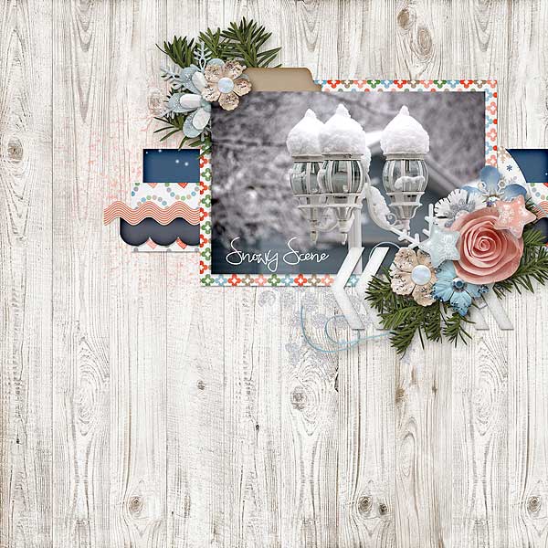 Snowy Scene