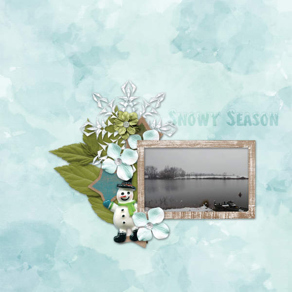 Snowy Season