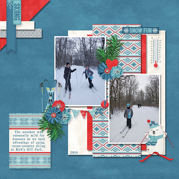 Snowy Slopes_2