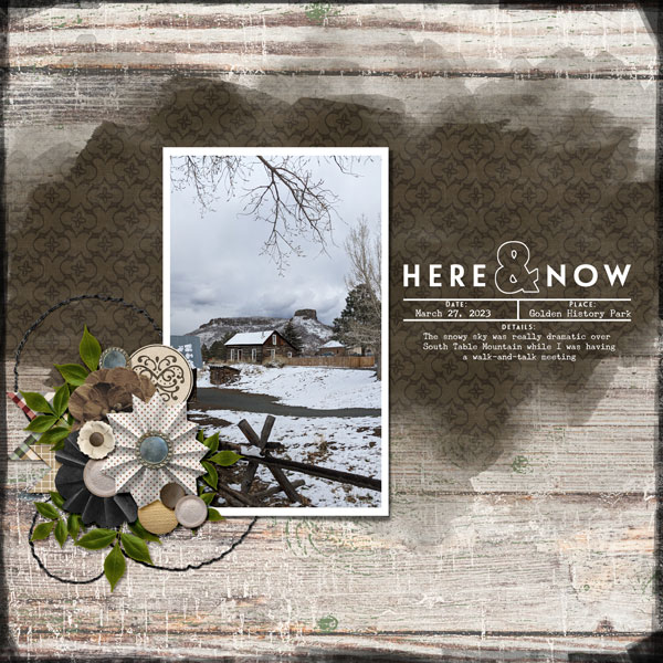 Snowy Spring Day