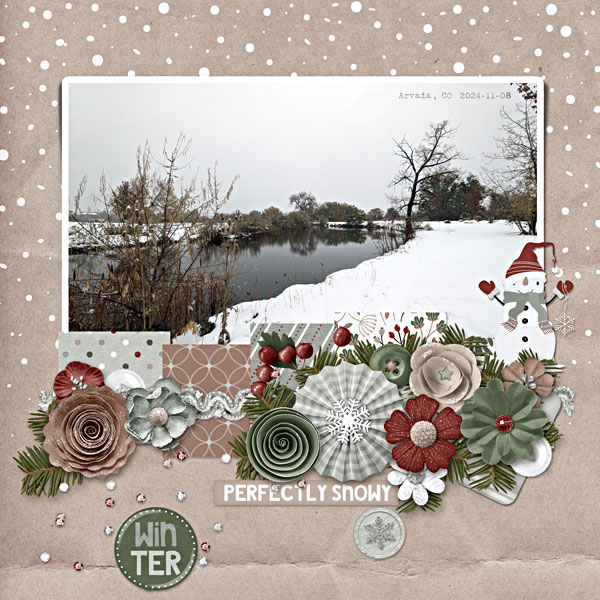 Snowy Walk November 2024