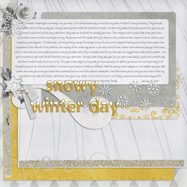 Snowy Winter Day