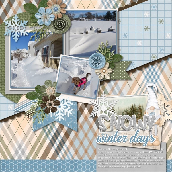 Snowy Winter Days
