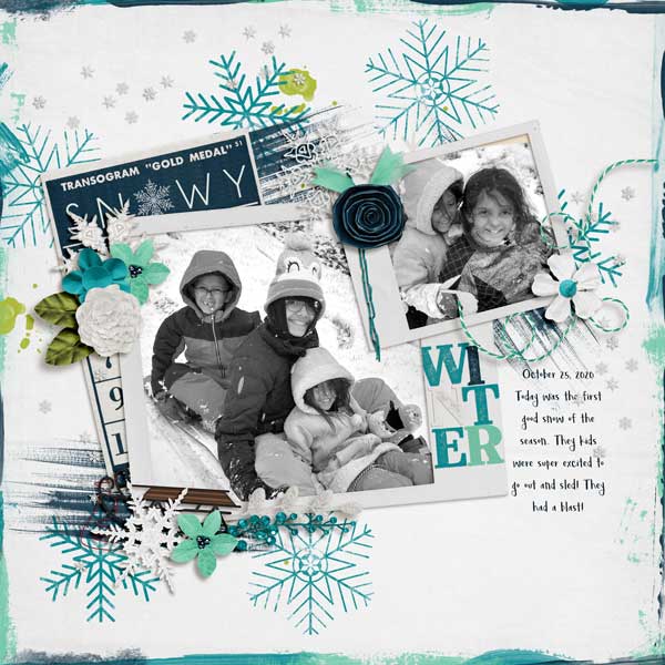 Snowy Winter