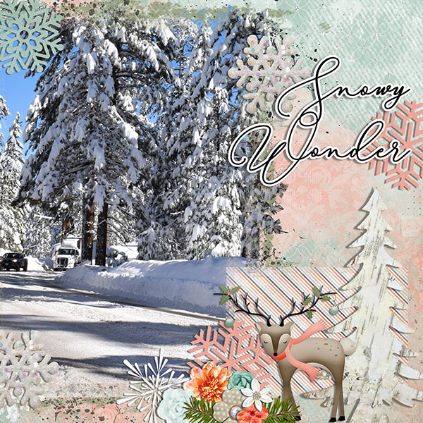 snowy wonder
