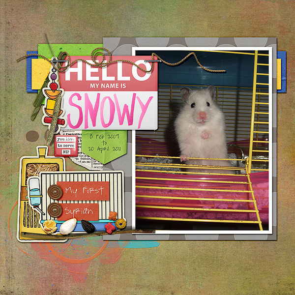 Snowy