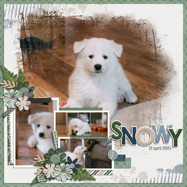 Snowy