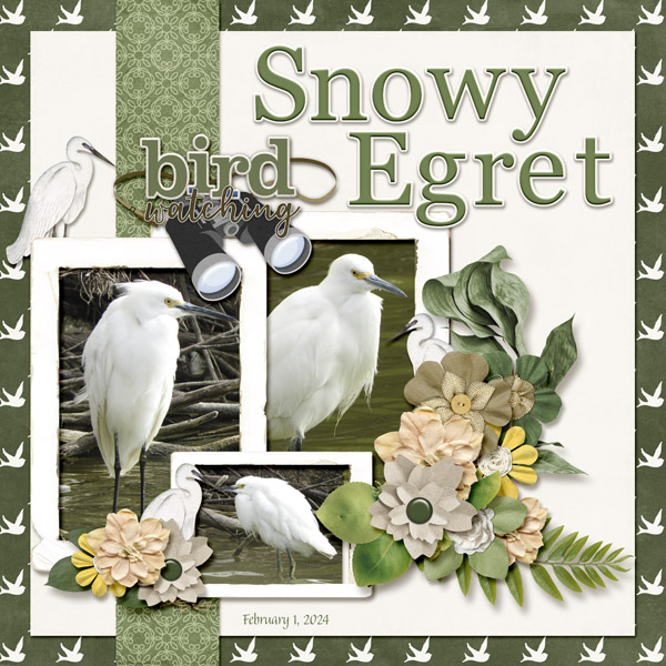 Snowy_Egret_small1
