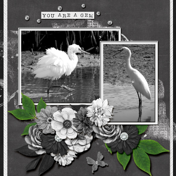 snowy_egret_small2