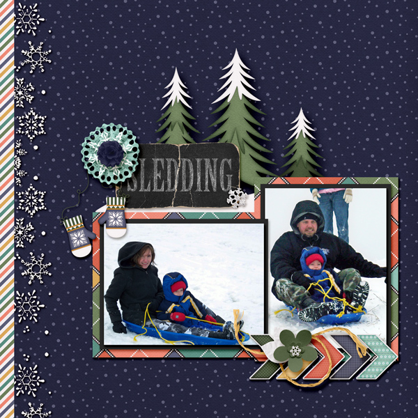 SNP_Snowbound_2010-1web