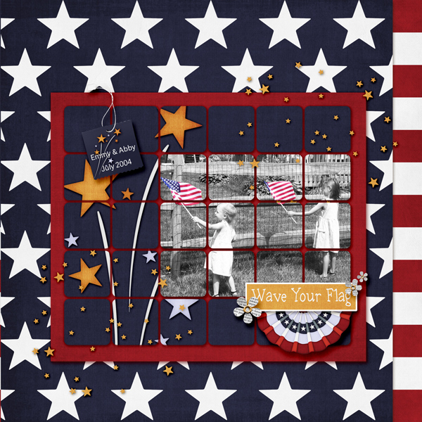 SNP_Stars_Stripes_2004web