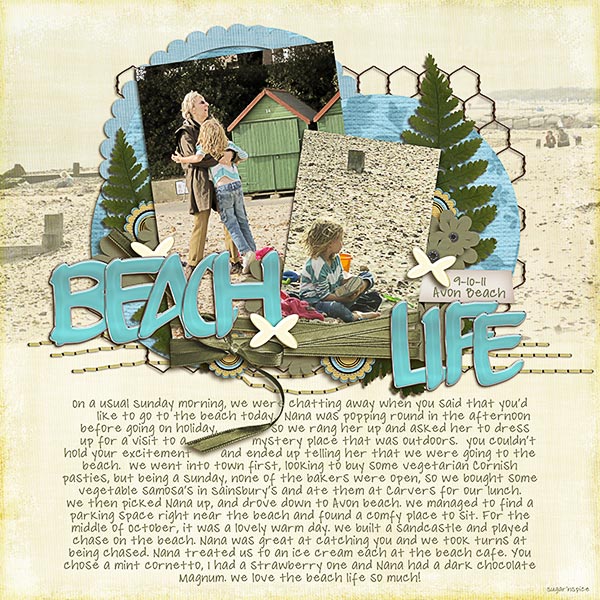 SnS-BeachLife