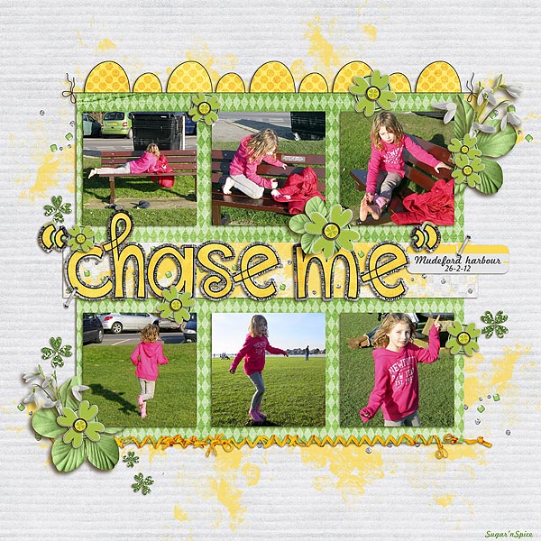 SnS-ChaseMe