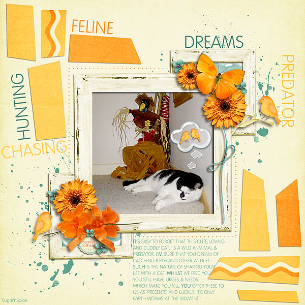 SnS-FelineDreams