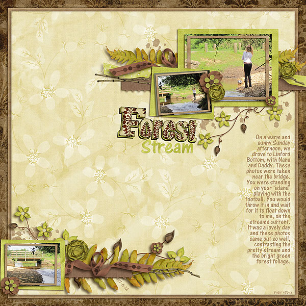 SnS-ForestStream