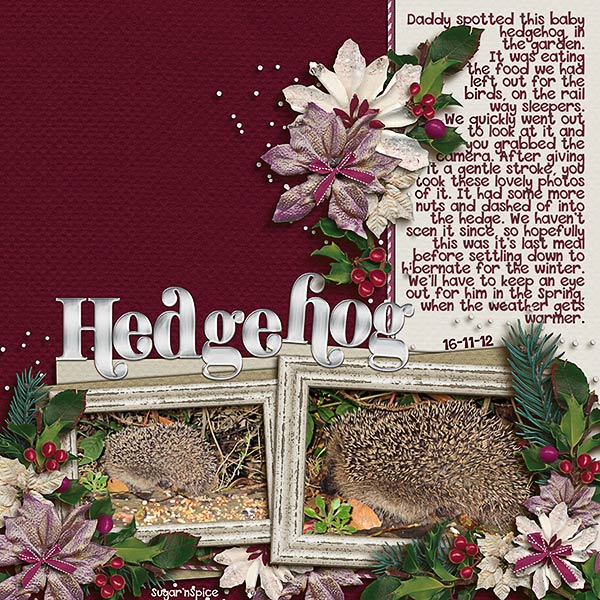 SnS-Hedgehog