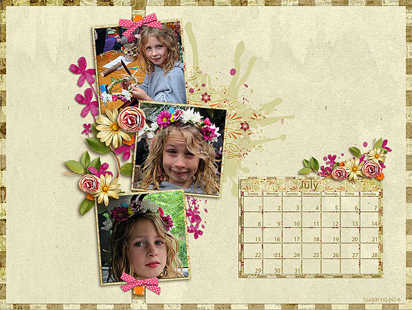 SnS-July2012Desktop