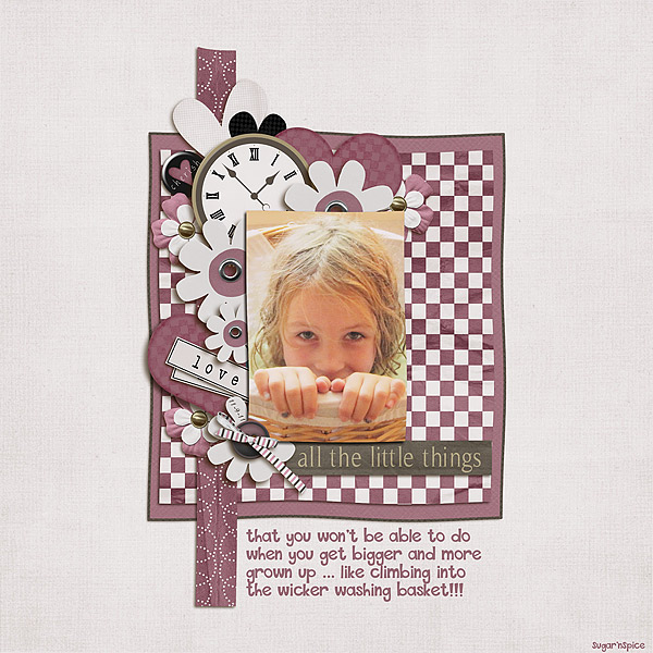 SnS-LittleThings