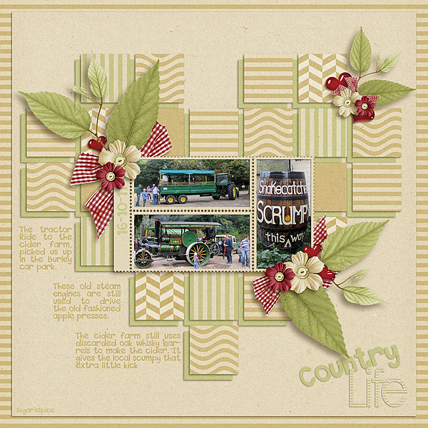 SnS-LoveCountryLife