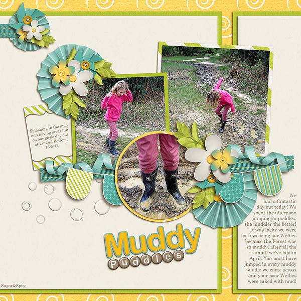 SnS-MuddyPuddles