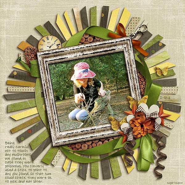 SnS-MushroomHunting