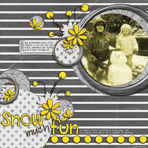 SnS-SnowMuchFun