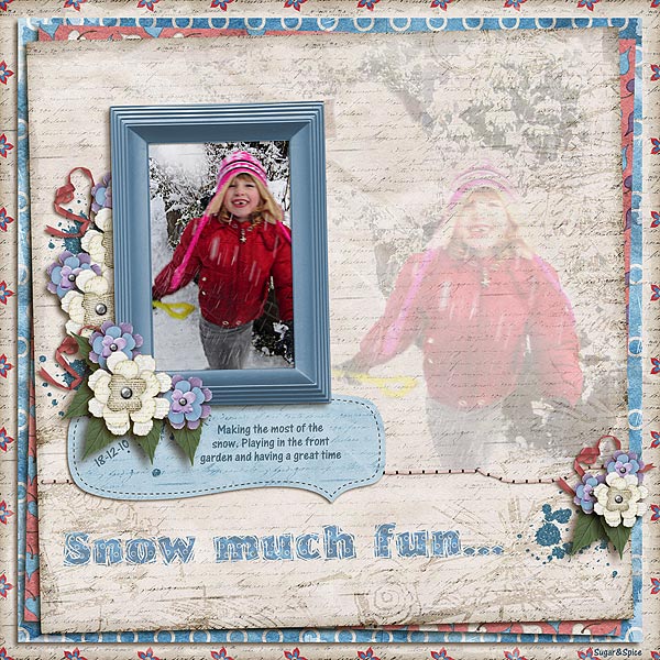 SnS-SnowMuchFun