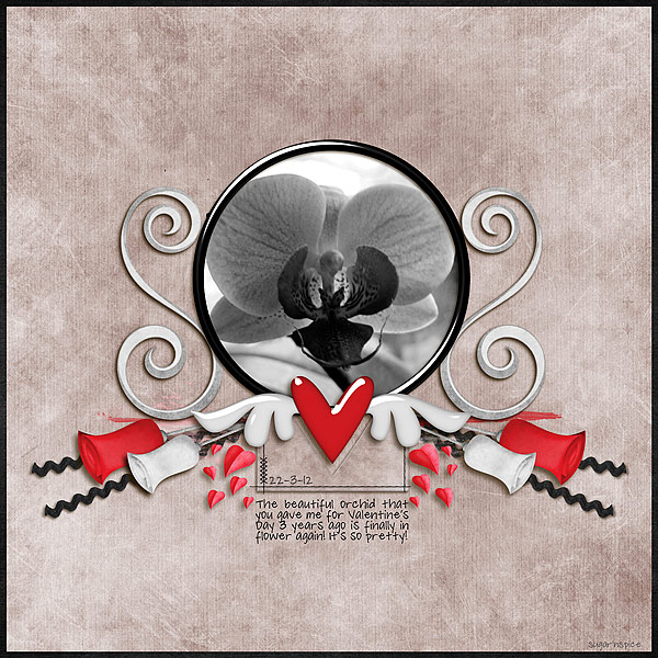SnS-ValentinesOrchid