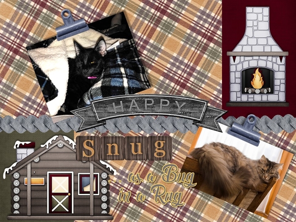 Snug As A Bug - January 2018 Created with Rewards Challenge