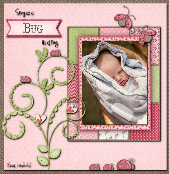 Snug as a Bug