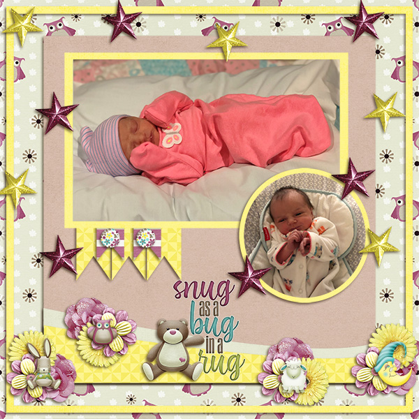 Snug As A Bug