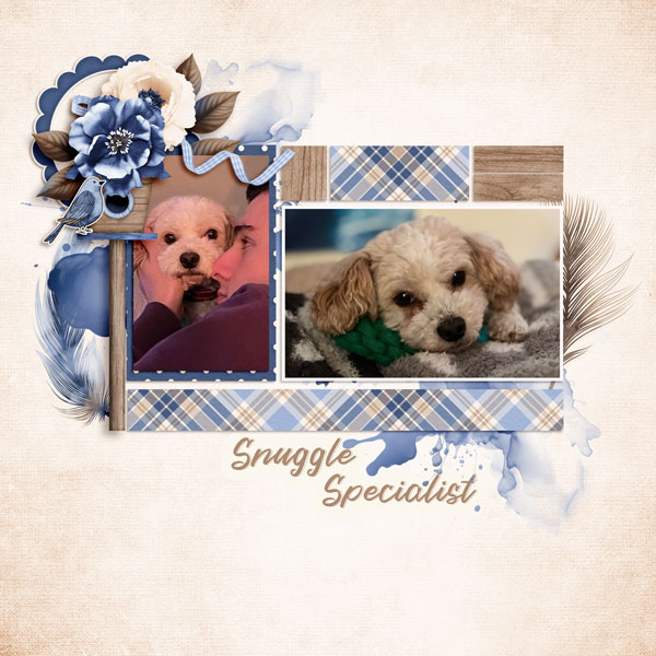 Snuggle-Specialist