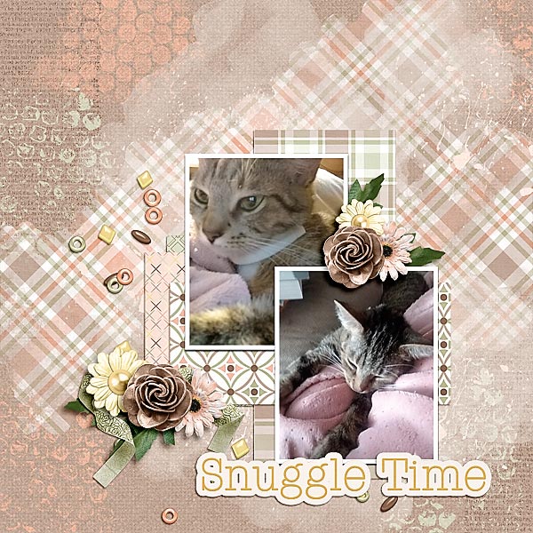 Snuggle Time