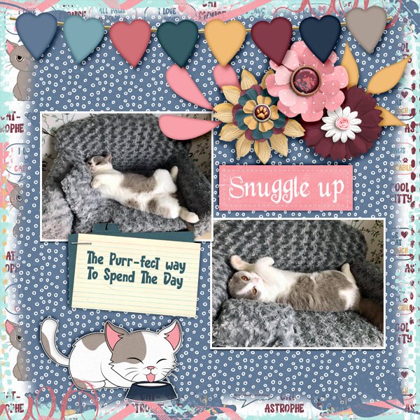 Snuggle-up.jpg