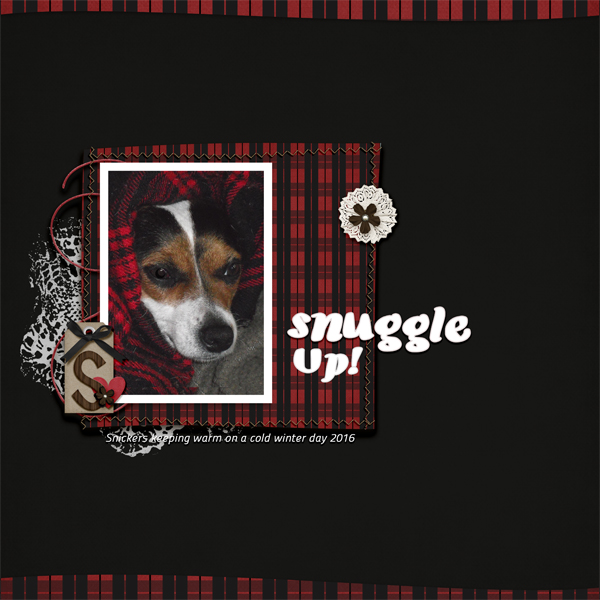 Snuggle Up