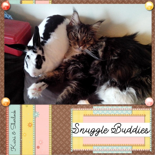 Snuggle_Buddies