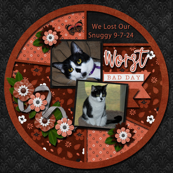 Snuggy Crossed the Rainbow Bridge