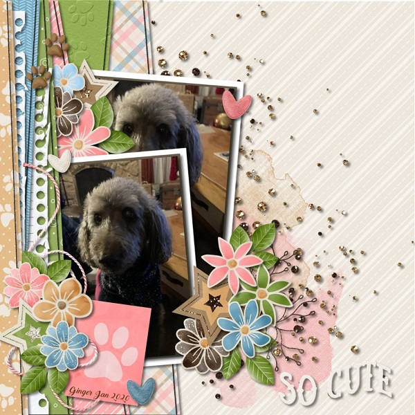 So Cute
