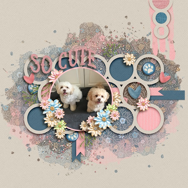 So Cute!