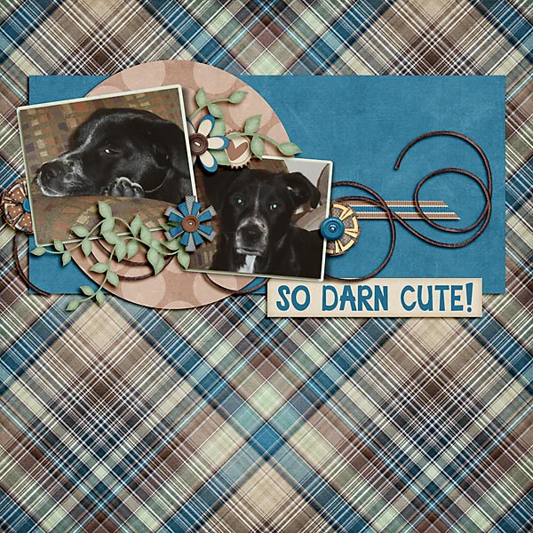 So Darn Cute!