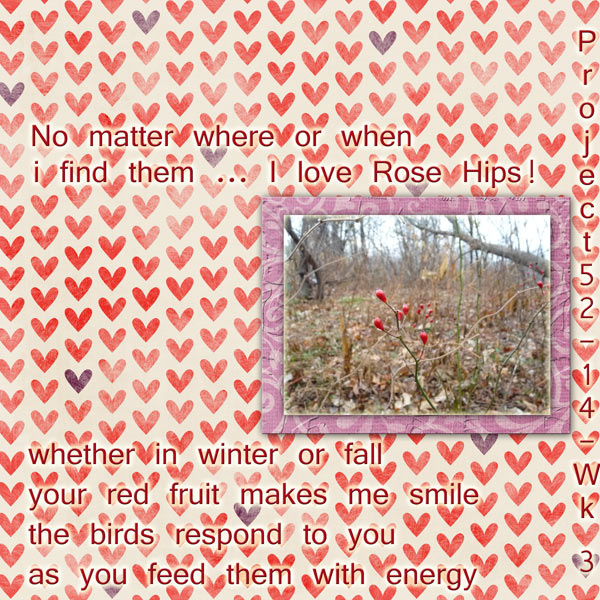 So Love RoseHips