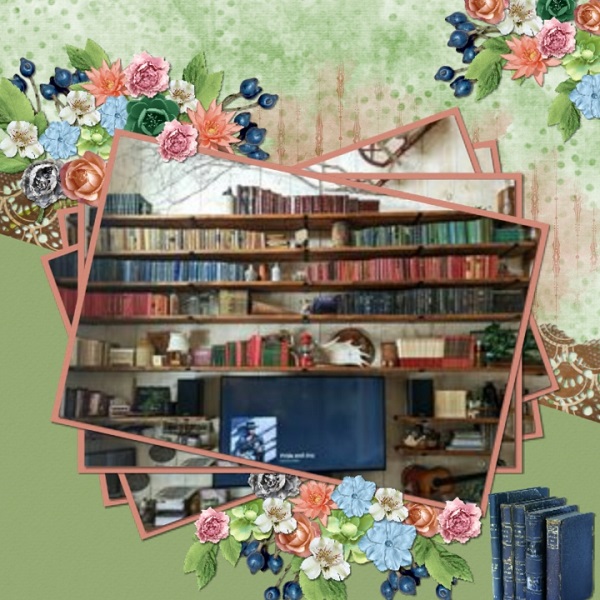 So Many Books