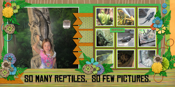 So many reptiles