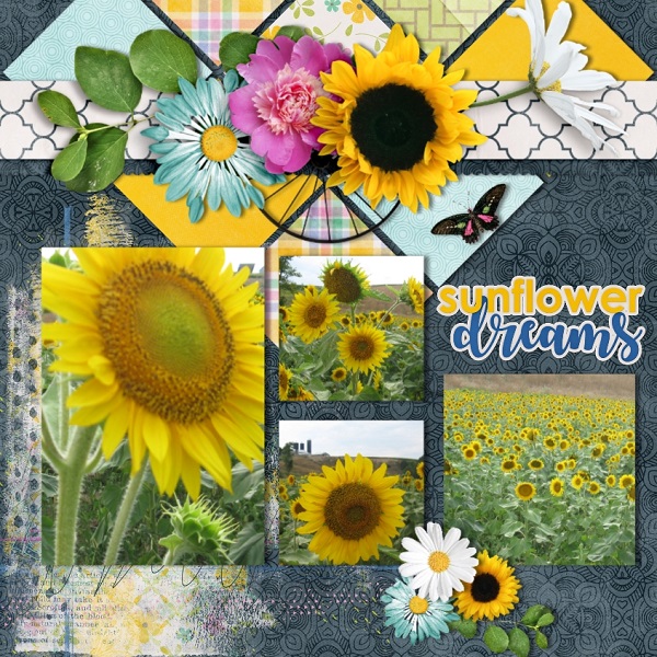 So Many Sunflowers