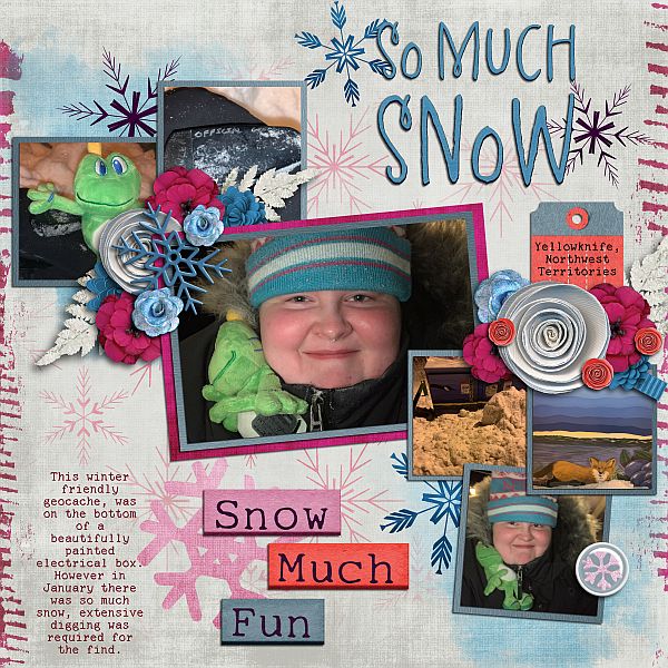 So Much Snow Snow Much Fun
