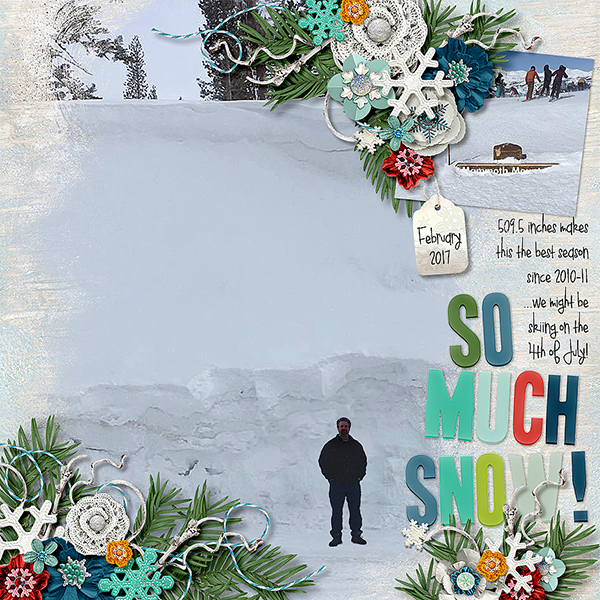 So Much Snow