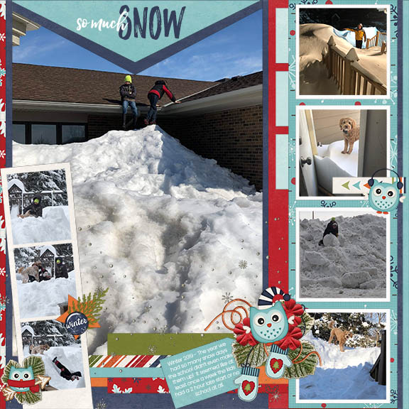 So Much Snow