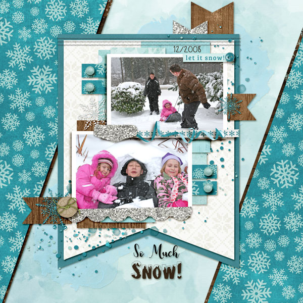 So Much Snow